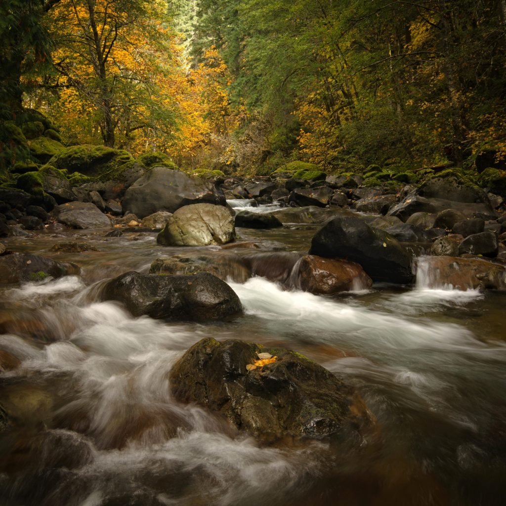 IMGP3773-1