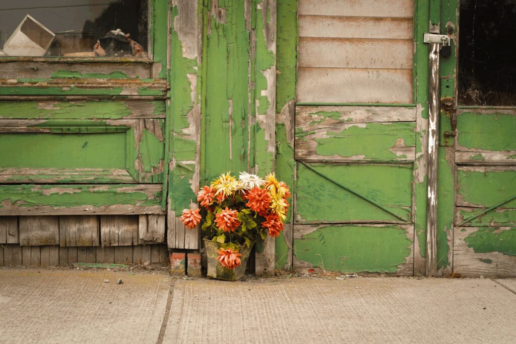 Pentax K3iii | Pentax-M 50mm 1.7